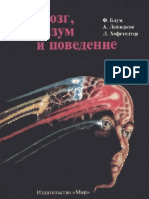 Исследователи сравнивают нейроны зрительных нервов, чтобы выяснить, почему одни регенерируют, а другие – нет