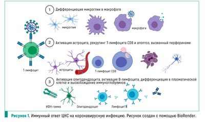 Обезболивание, вызванное инфекцией SARS-CoV-2, может помочь объяснить распространение COVID-19