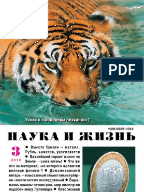 Подземные африканские животные демонстрируют необычайную устойчивость к раку Подземные африканские животные демонстрируют необычайную устойчивость к раку