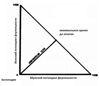 Стартовая мужская фертильность Стартовая мужская фертильность