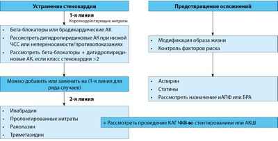 Команда находит потенциальное лечение кожи и заживления ран роговицы у диабетиков Команда находит потенциальное лечение кожи и заживления ран роговицы у диабетиков