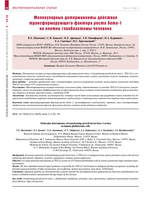 Сигнальный механизм может быть целью для выживания, роста опухолевых клеток при раке головного мозга