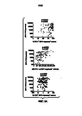 Иммунотерапевтическое средство может нарушить вирусный резервуар у обезьян, инфицированных вирусом иммунодефицита человека